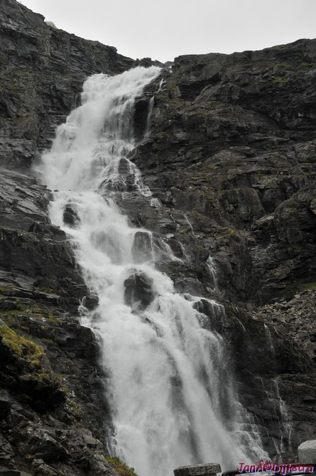 DSC_7985.JPG