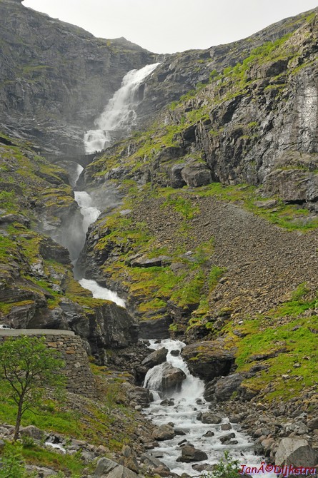 DSC_7987.JPG