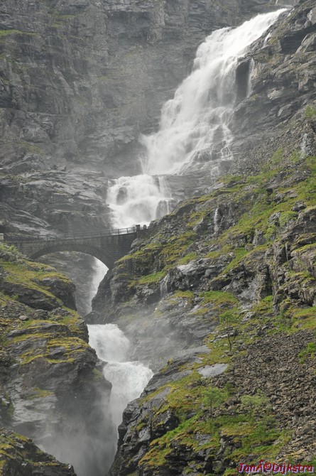 DSC_7988.JPG