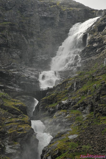 DSC_7989.JPG