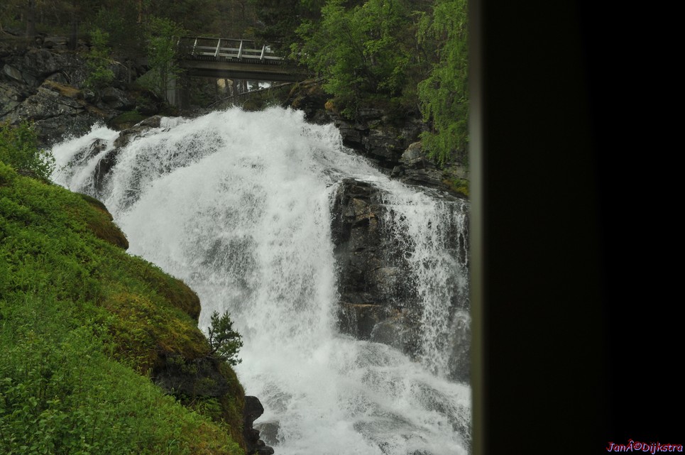 DSC_7991.JPG