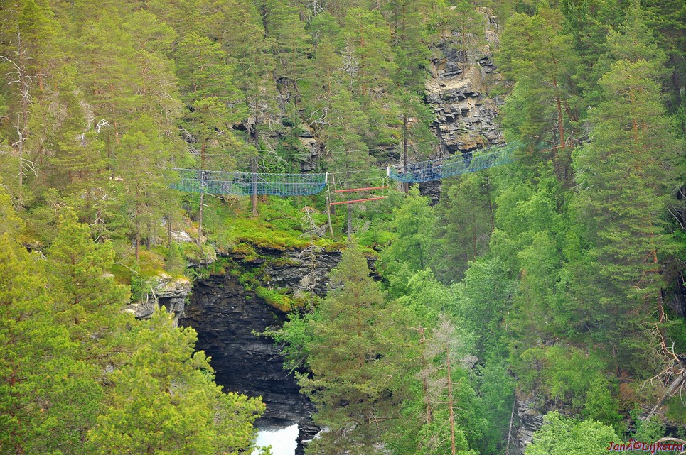 DSC_7992.JPG