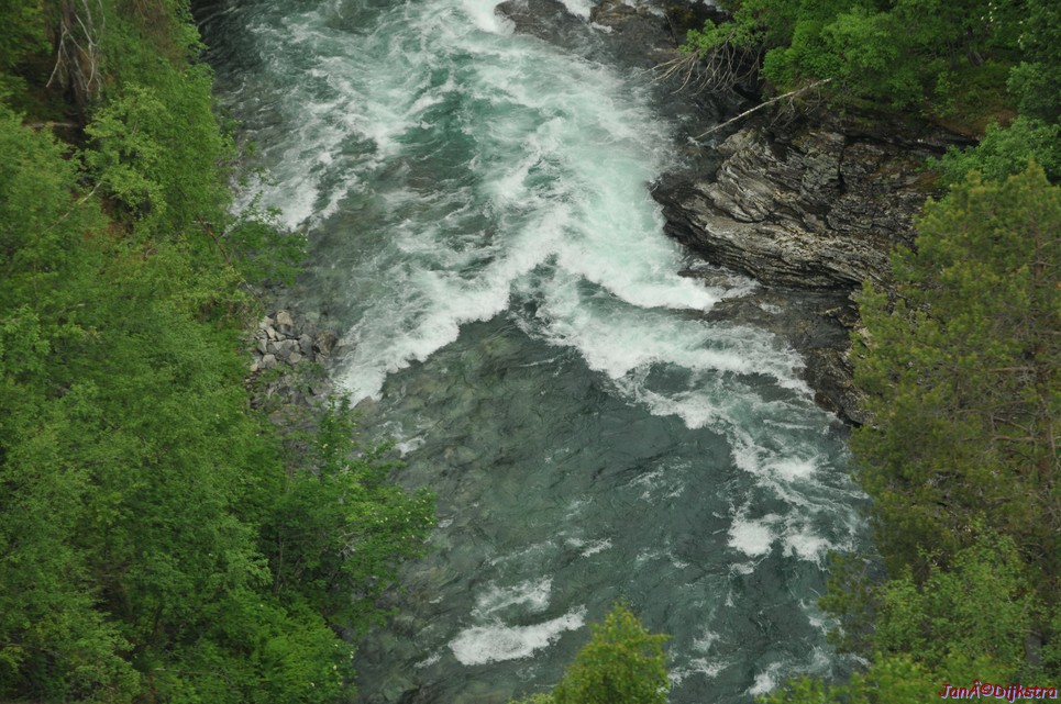 DSC_7994.JPG