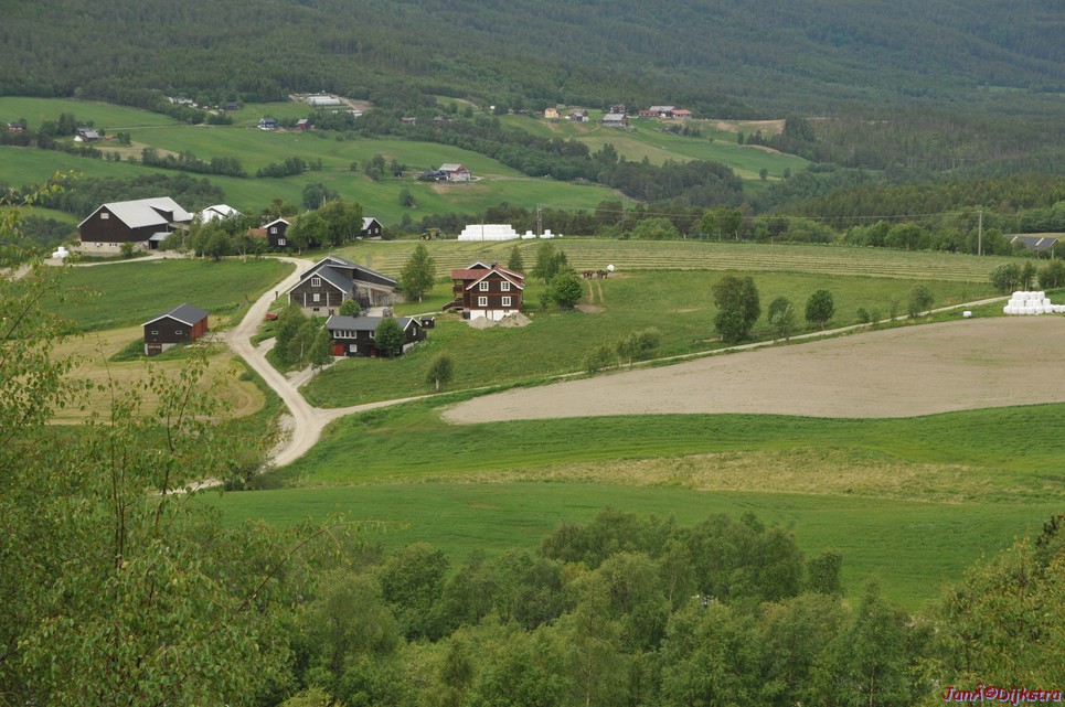 DSC_8016.JPG