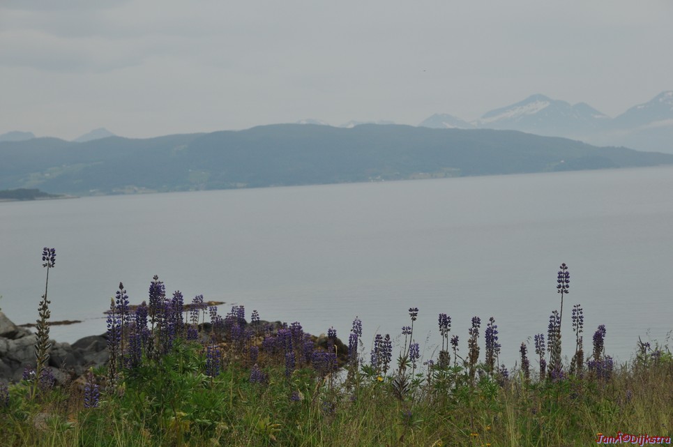 DSC_8053.JPG
