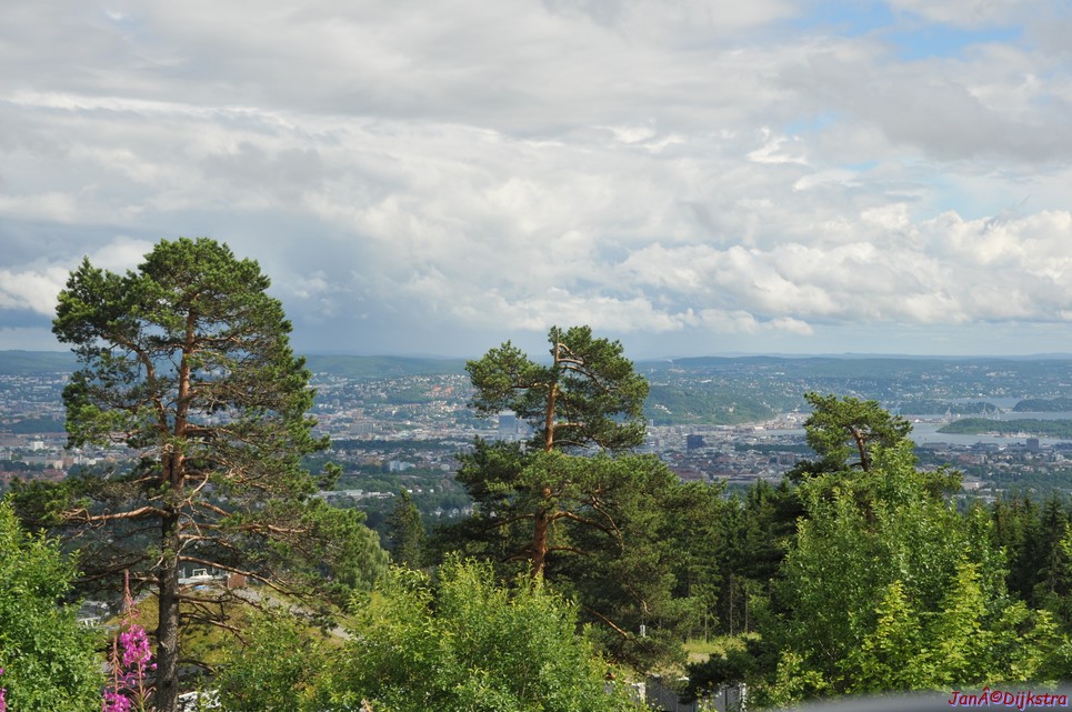 DSC_8125.JPG