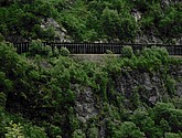 DSC_7768.JPG