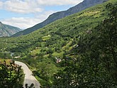 DSC_7771.JPG