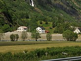 DSC_7800.JPG