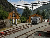 DSC_7806.JPG