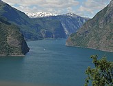 DSC_7835.JPG