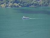 DSC_7844.JPG