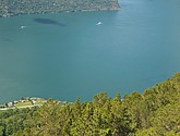 DSC_7850.JPG