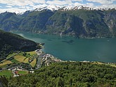 DSC_7855.JPG