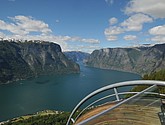 DSC_7858.JPG