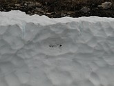 DSC_7860.JPG