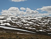 DSC_7861.JPG