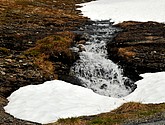 DSC_7863.JPG