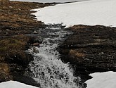 DSC_7864.JPG
