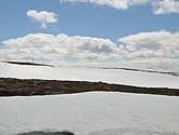DSC_7867.JPG