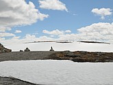 DSC_7868.JPG