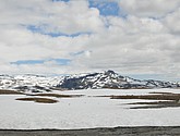 DSC_7869.JPG