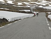 DSC_7876.JPG