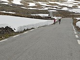 DSC_7877.JPG