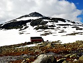 DSC_7879.JPG
