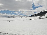 DSC_7880.JPG