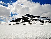 DSC_7882.JPG