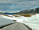 DSC_7883.JPG
