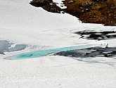 DSC_7884.JPG