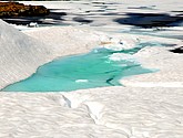 DSC_7885.JPG