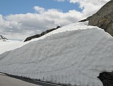DSC_7886.JPG