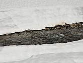 DSC_7887.JPG