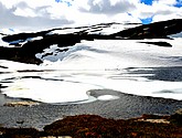 DSC_7888.JPG