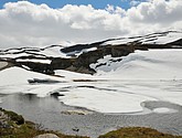 DSC_7889.JPG