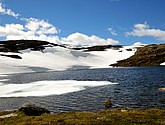 DSC_7890.JPG