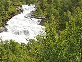 DSC_7892.JPG