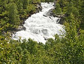 DSC_7893.JPG