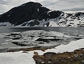 DSC_7910.JPG