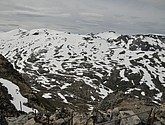 DSC_7918.JPG