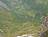 DSC_7919.JPG