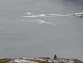 DSC_7932.JPG