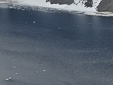 DSC_7933.JPG