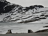 DSC_7937.JPG
