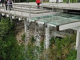 DSC_7953.JPG
