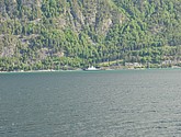 DSC_7966.JPG