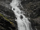 DSC_7980.JPG